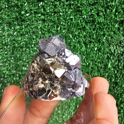 crystallized galena with Pyrite octahedral