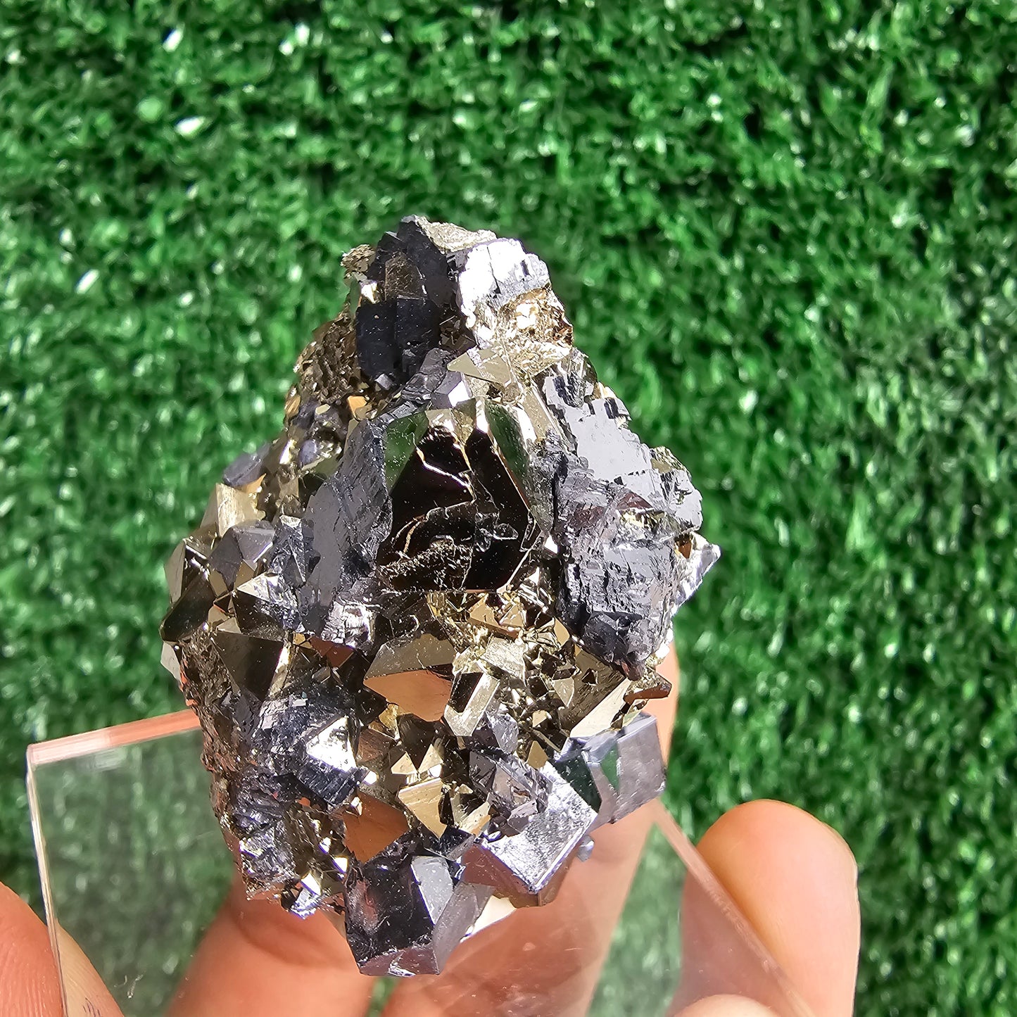 crystallized galena with Pyrite octahedral