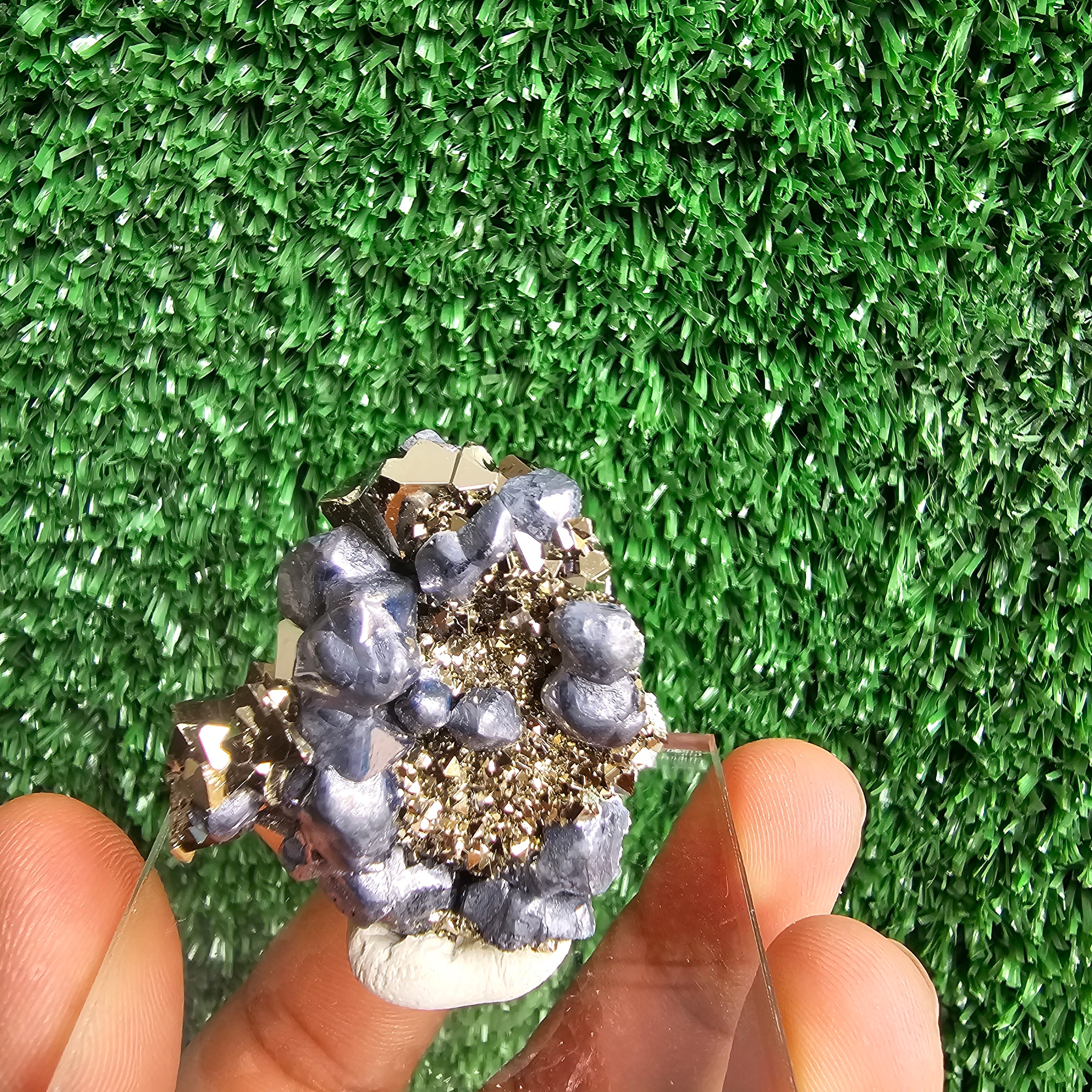 crystallized galena with Pyrite octahedral