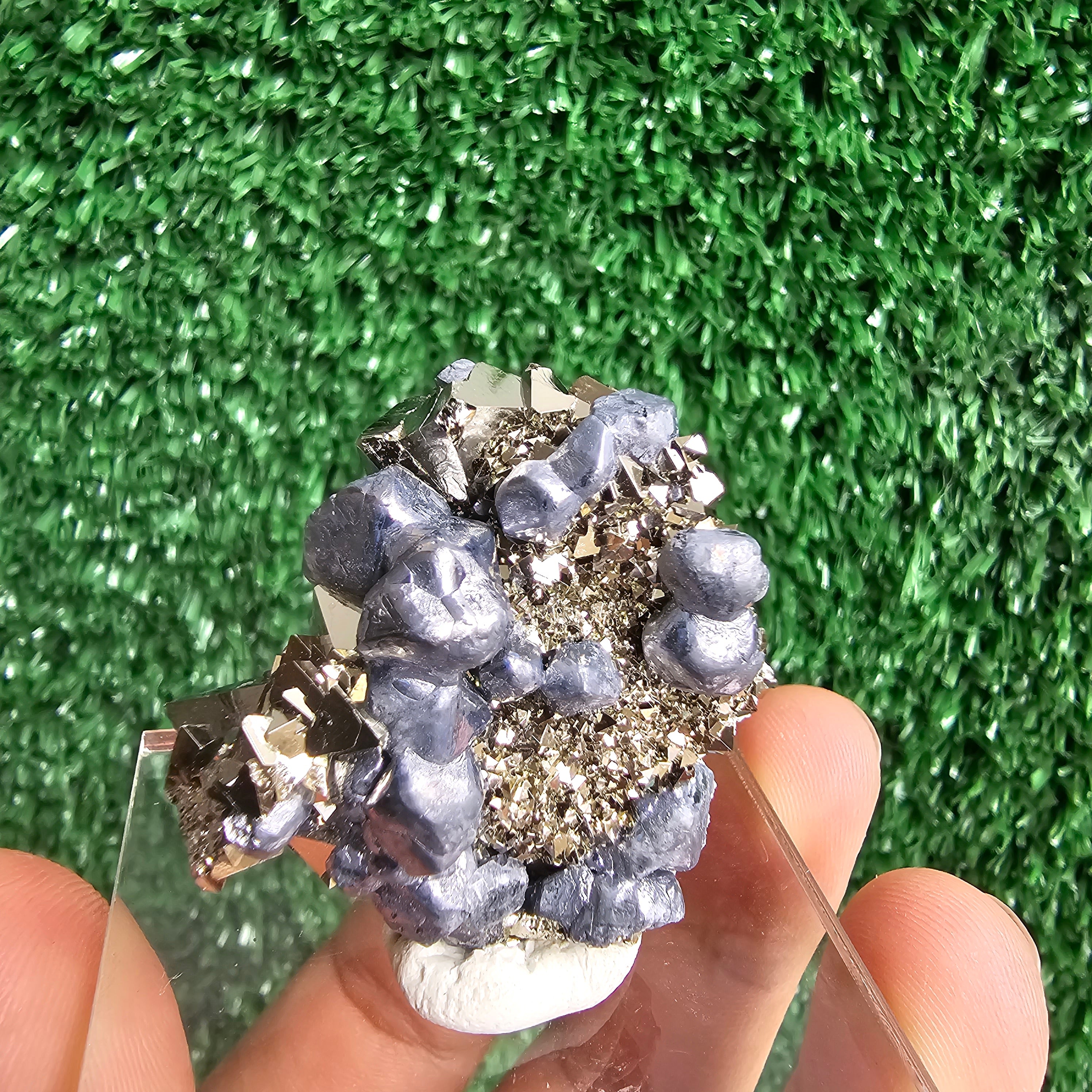 crystallized galena with Pyrite octahedral