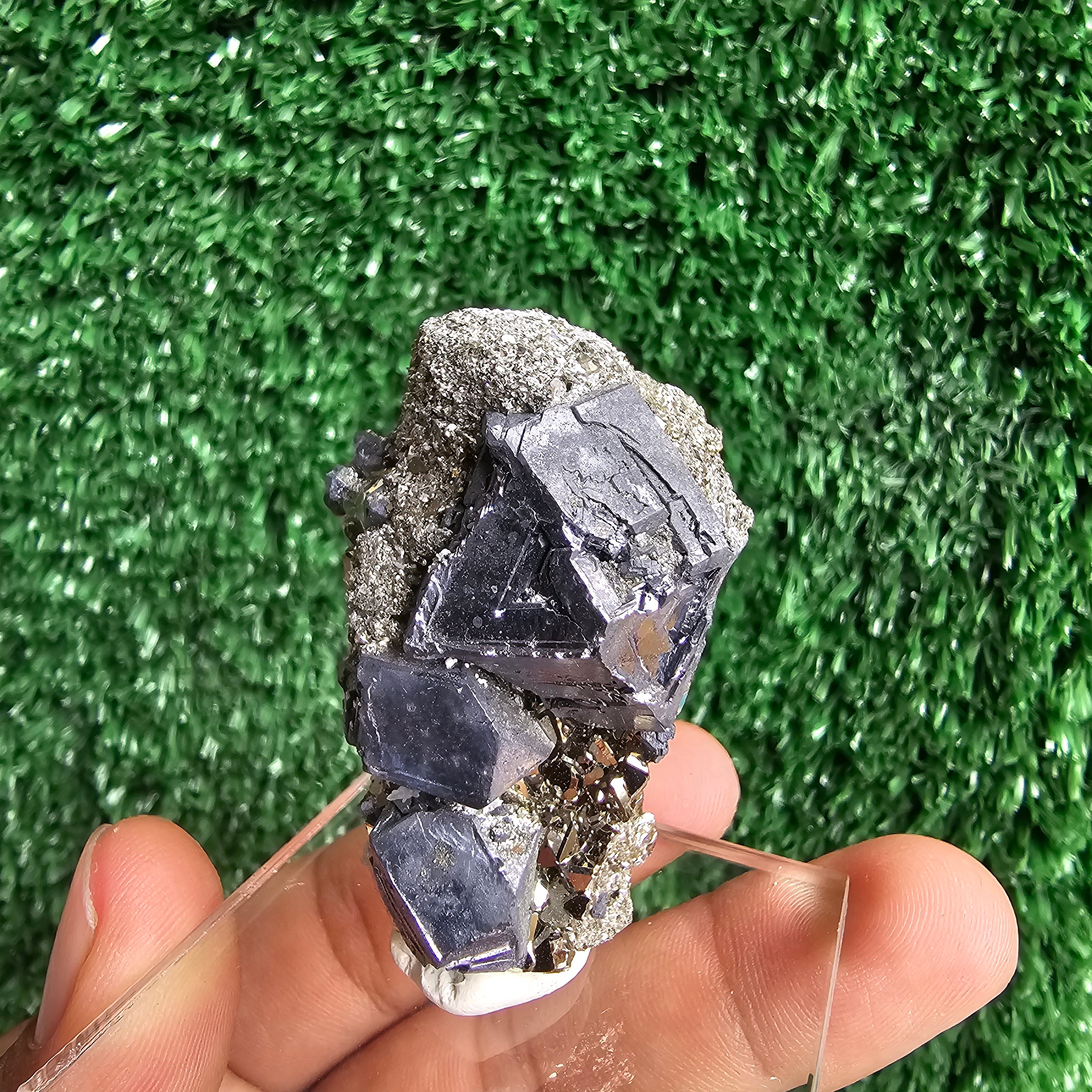 crystallized galena with Pyrite octahedral