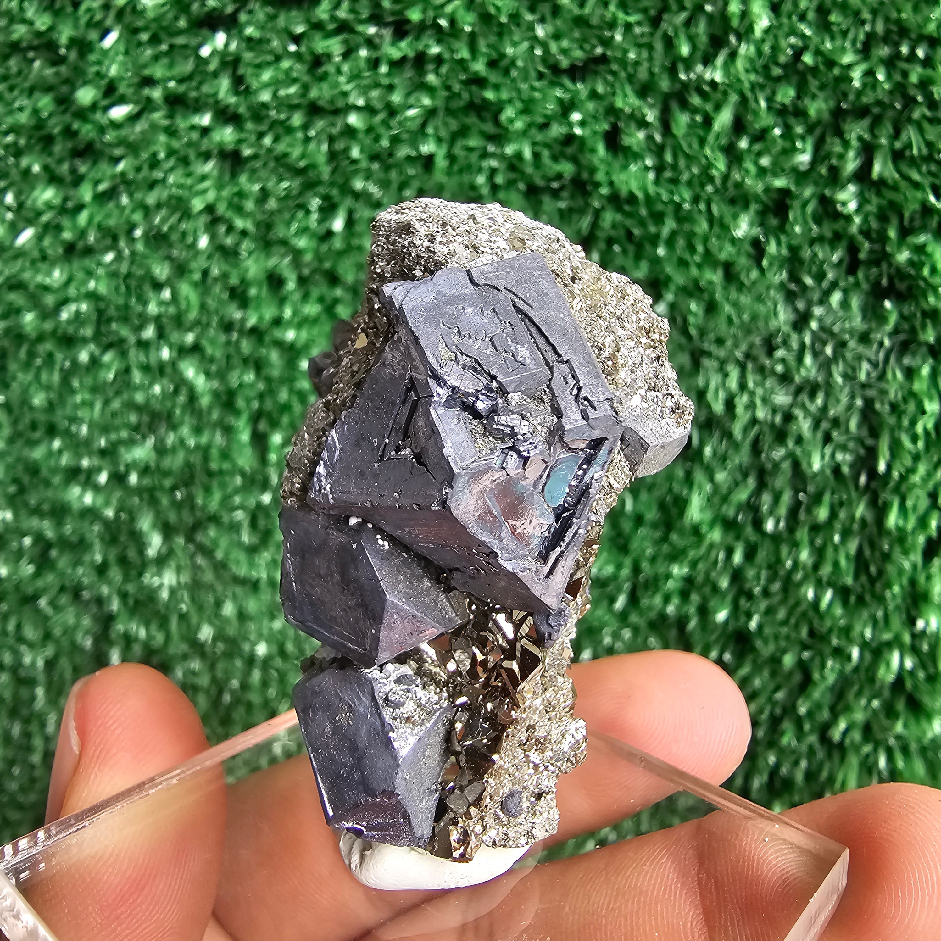 crystallized galena with Pyrite octahedral