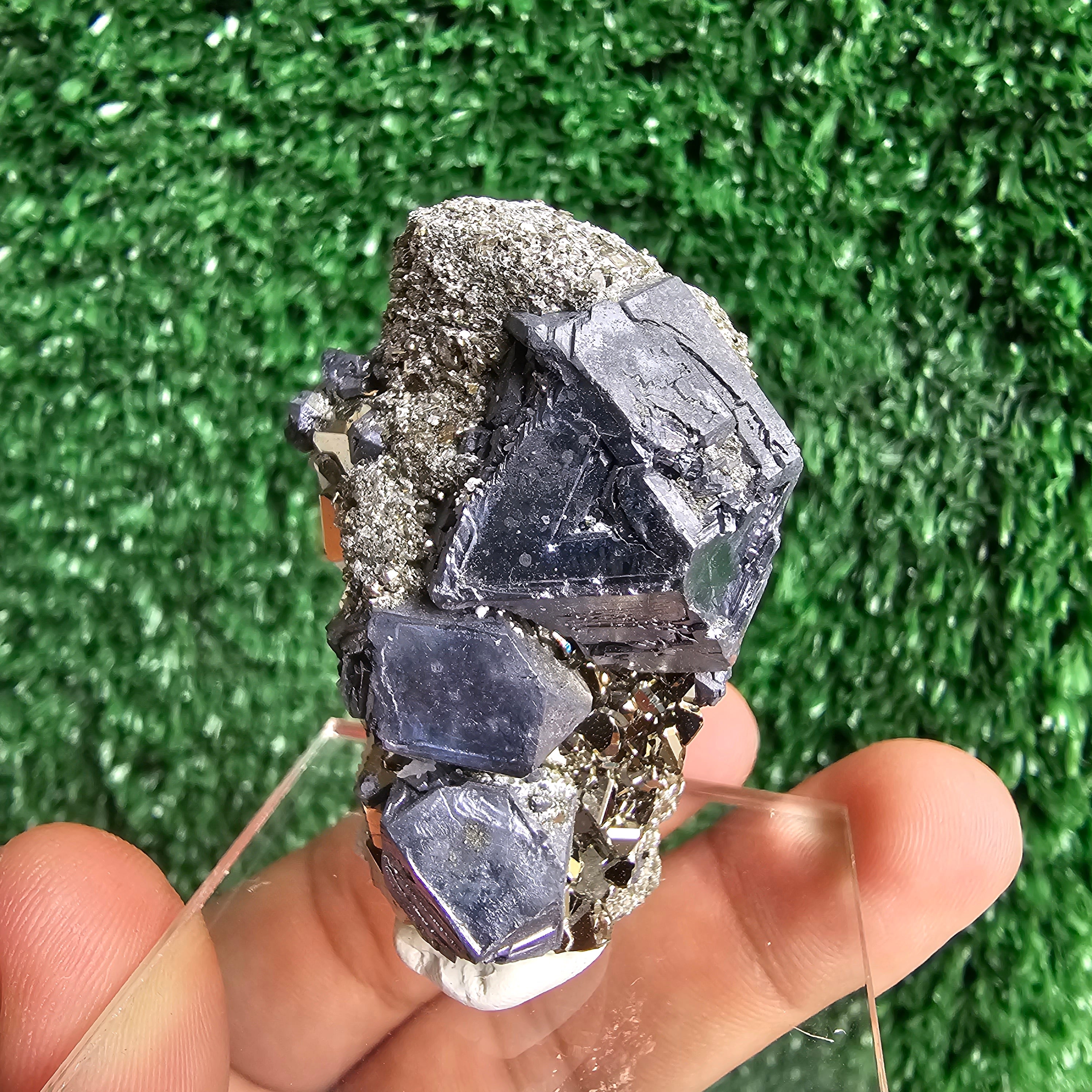 crystallized galena with Pyrite octahedral