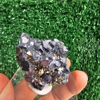 crystallized galena with Pyrite octahedral