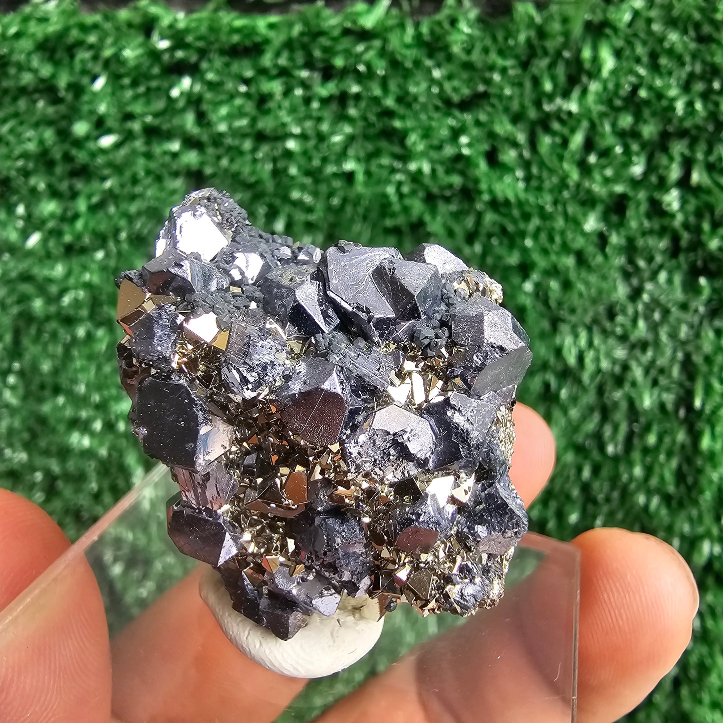 crystallized galena with Pyrite octahedral