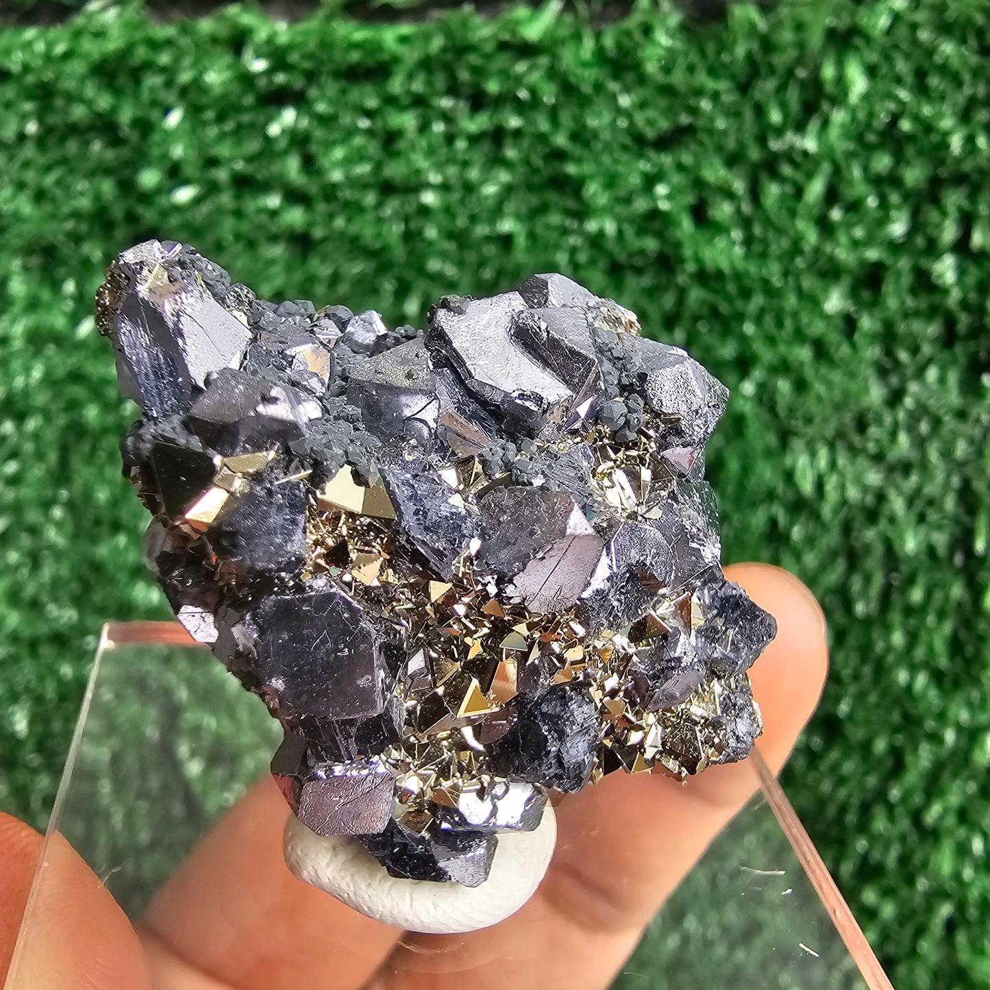 crystallized galena with Pyrite octahedral