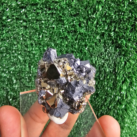 crystallized galena with Pyrite octahedral