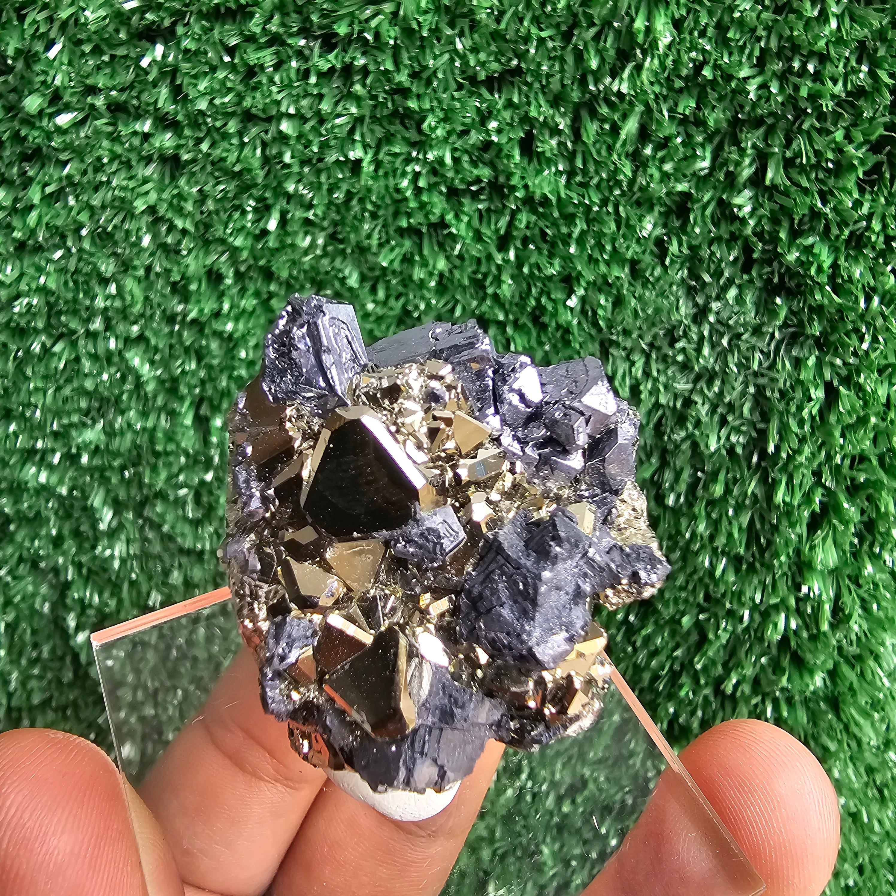 crystallized galena with Pyrite octahedral