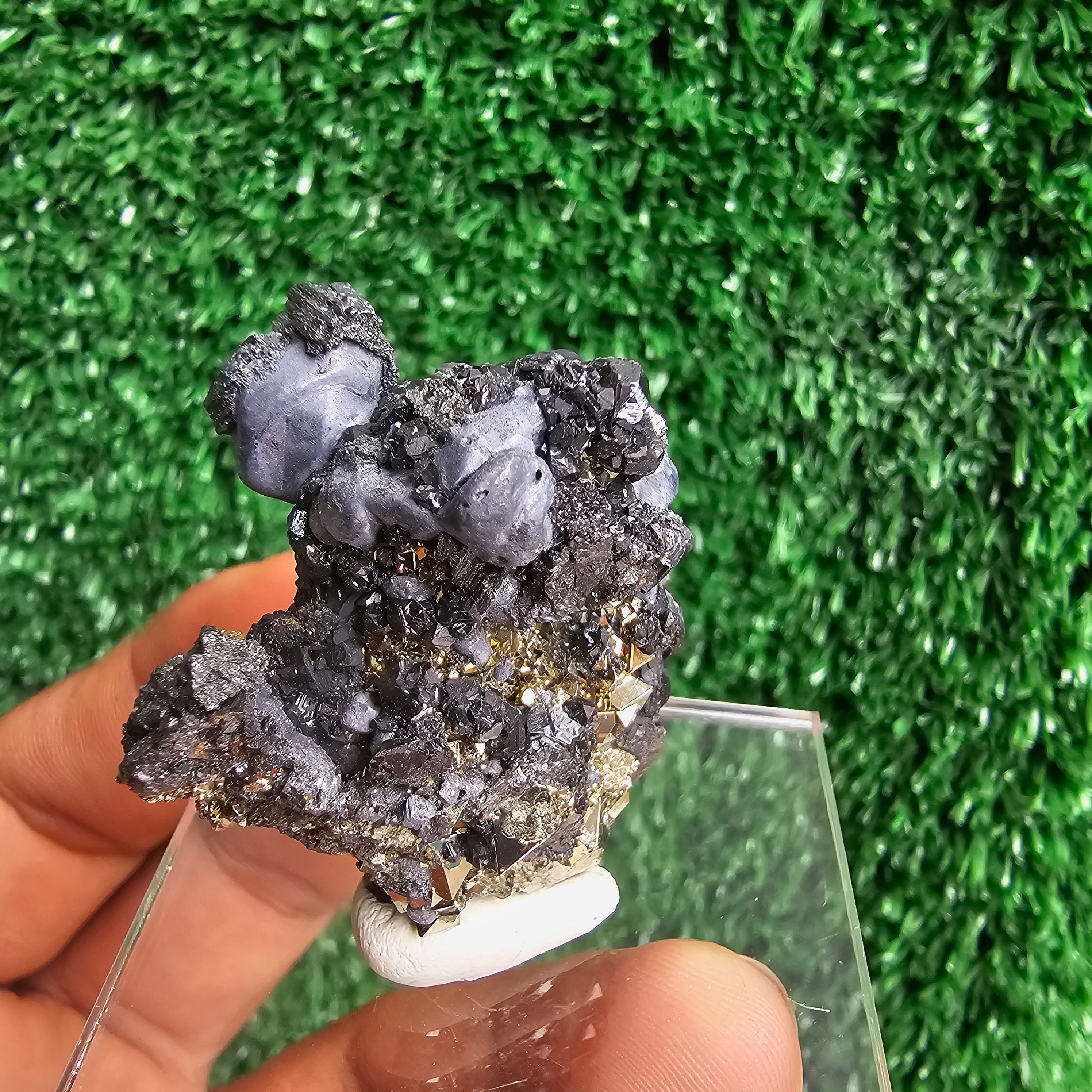 crystallized galena with Pyrite octahedral