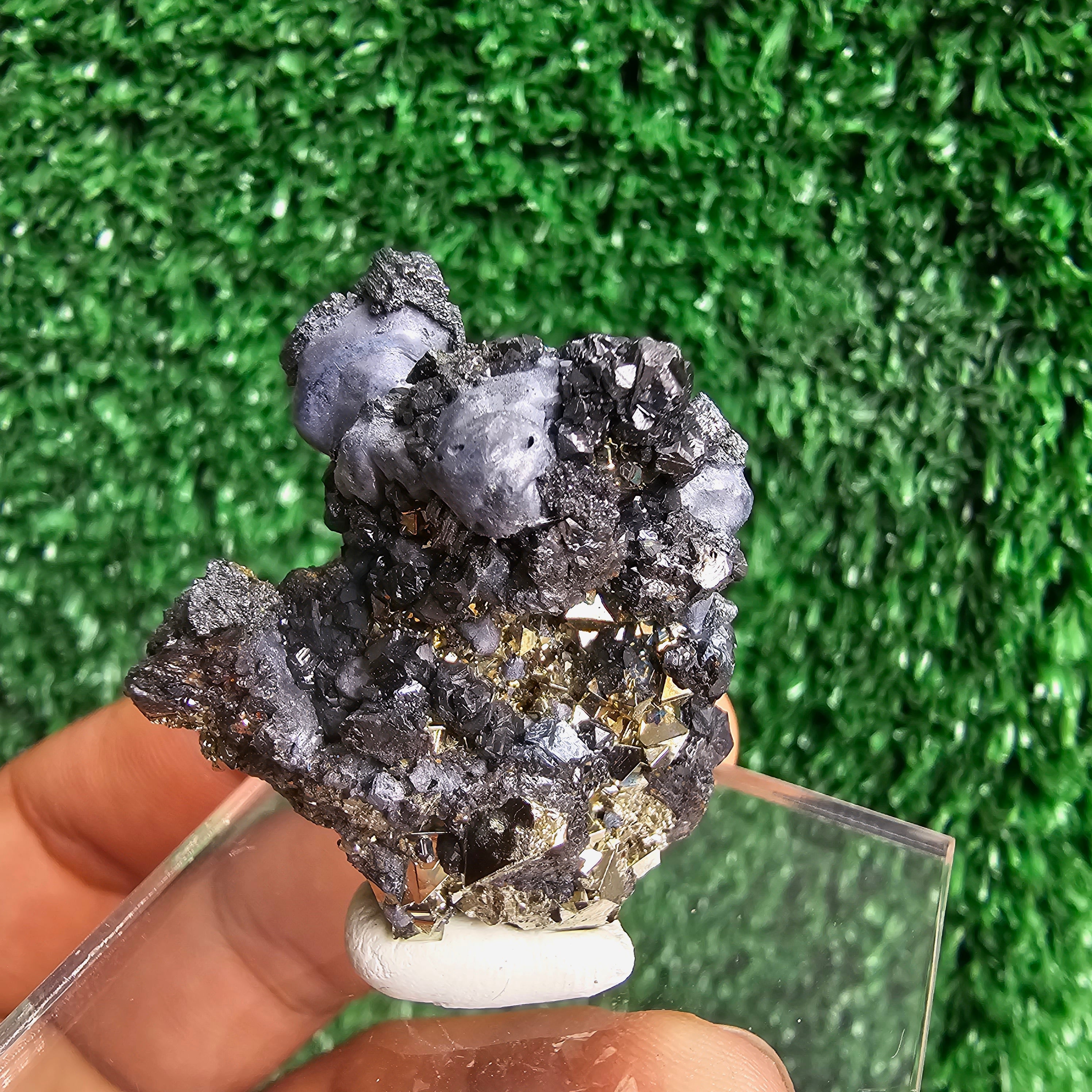 crystallized galena with Pyrite octahedral