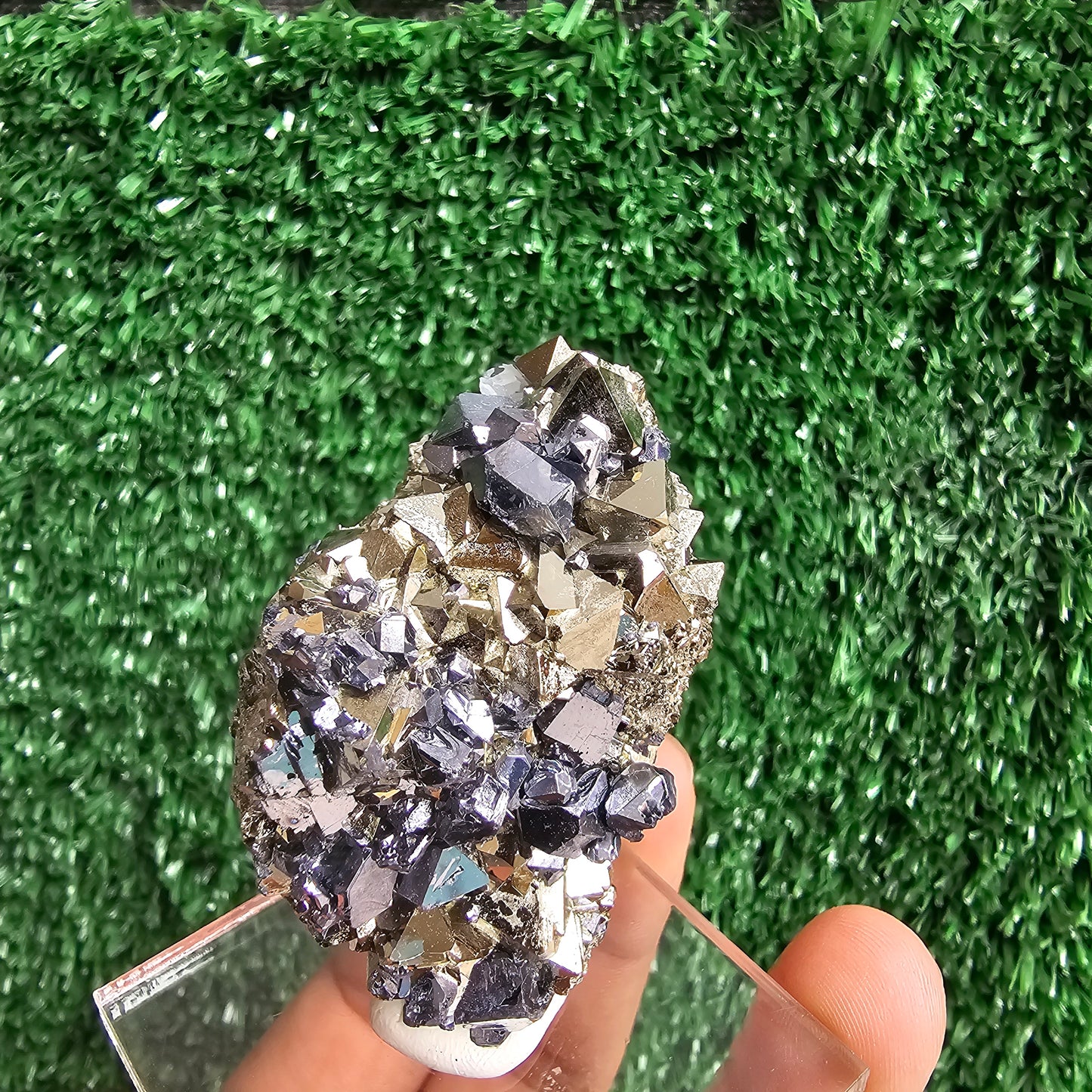 crystallized galena with Pyrite octahedral