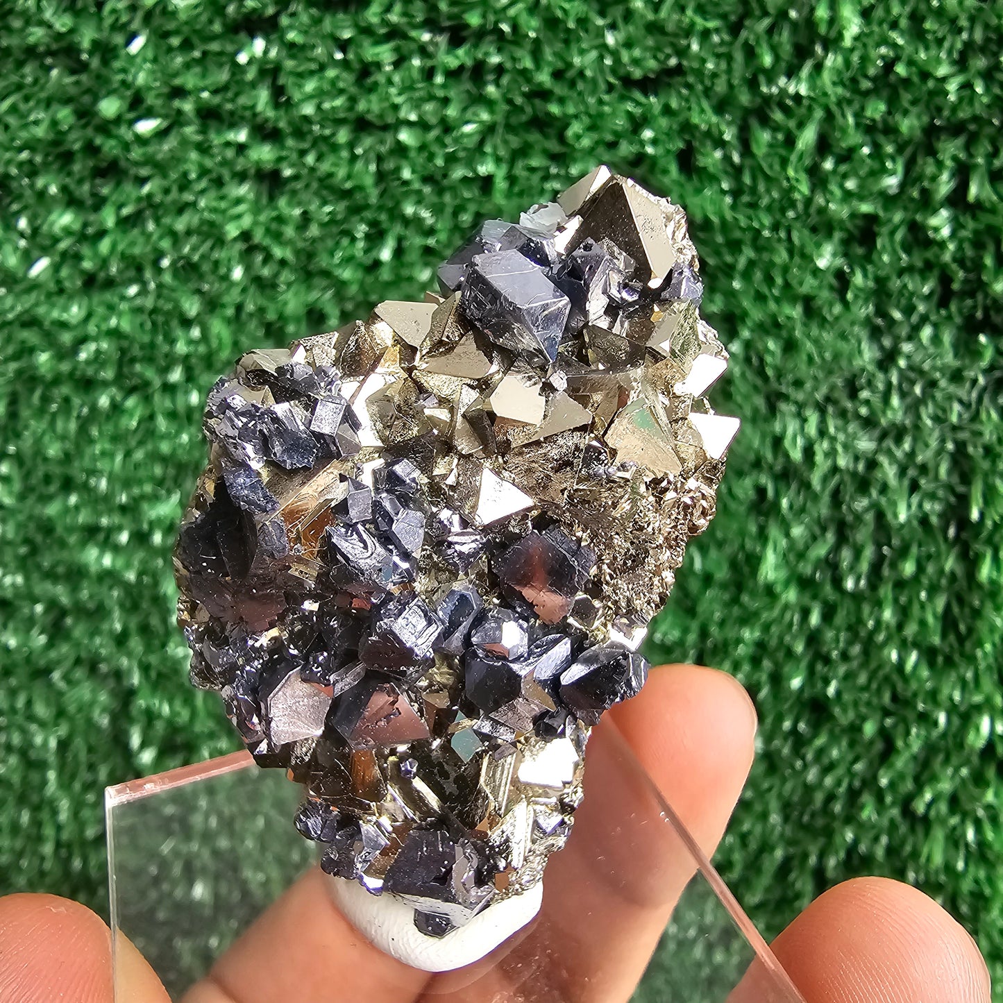 crystallized galena with Pyrite octahedral