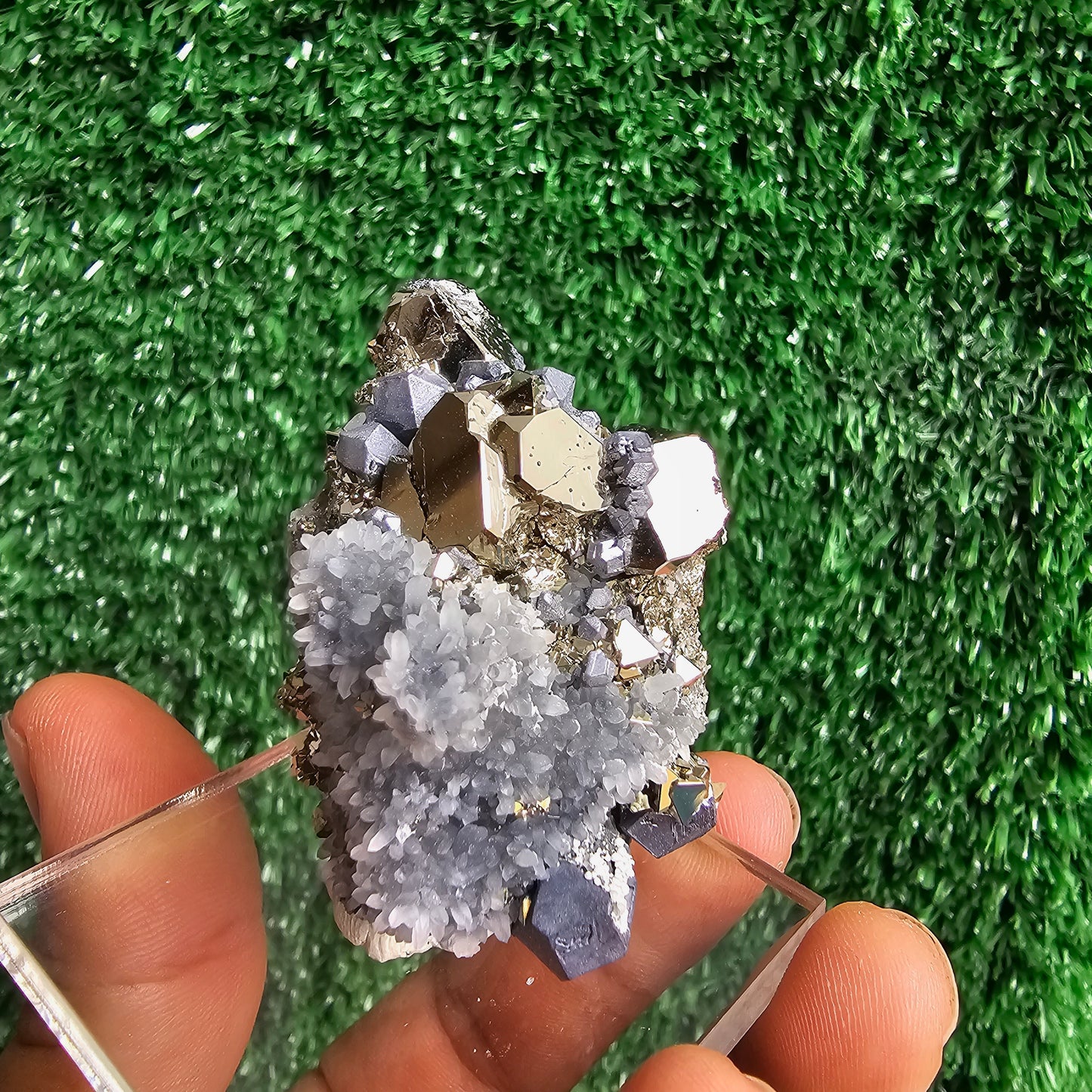 crystallized galena with Pyrite octahedral