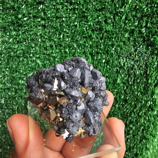 crystallized galena with Pyrite octahedral