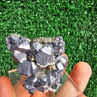 crystallized galena with Pyrite octahedral