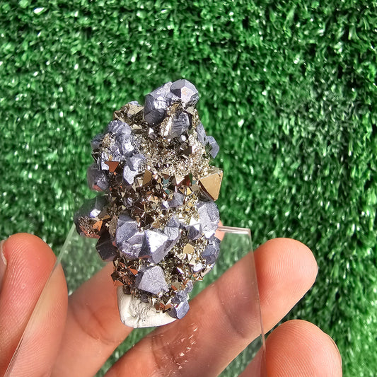 crystallized galena with Pyrite octahedral