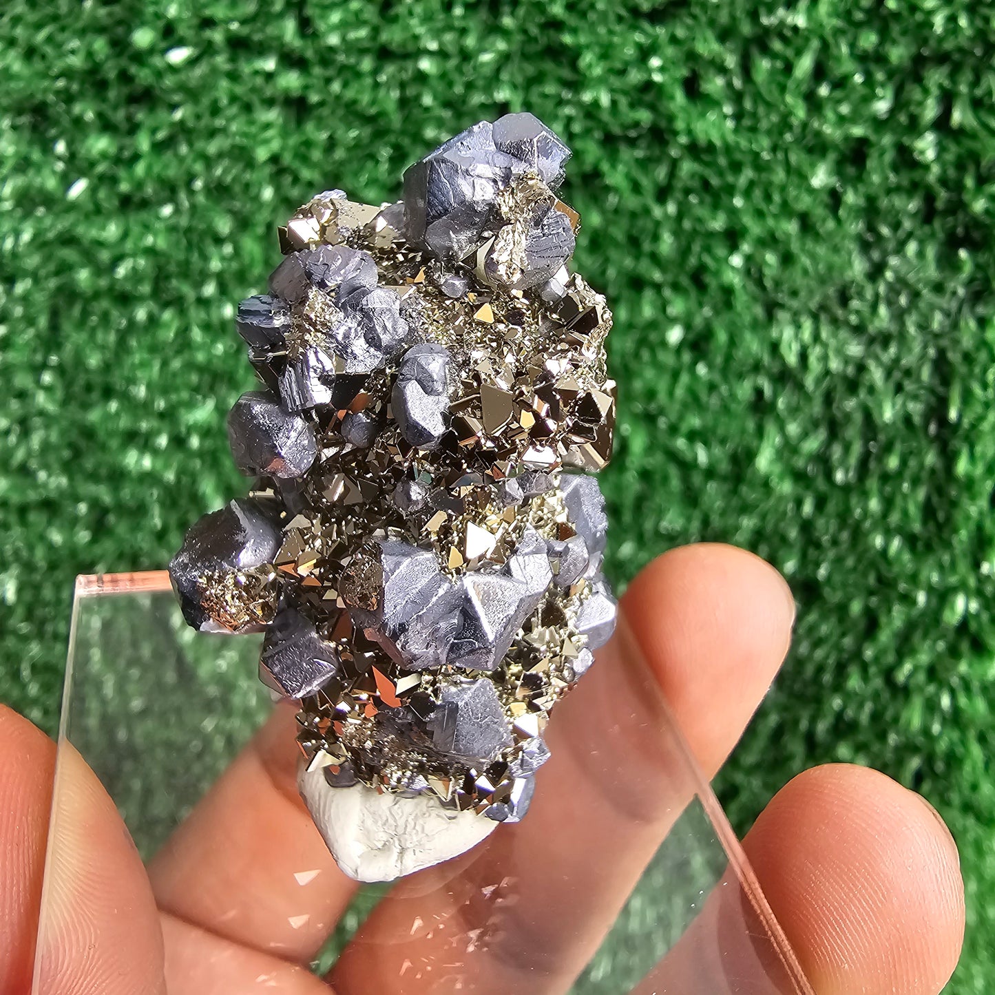 crystallized galena with Pyrite octahedral