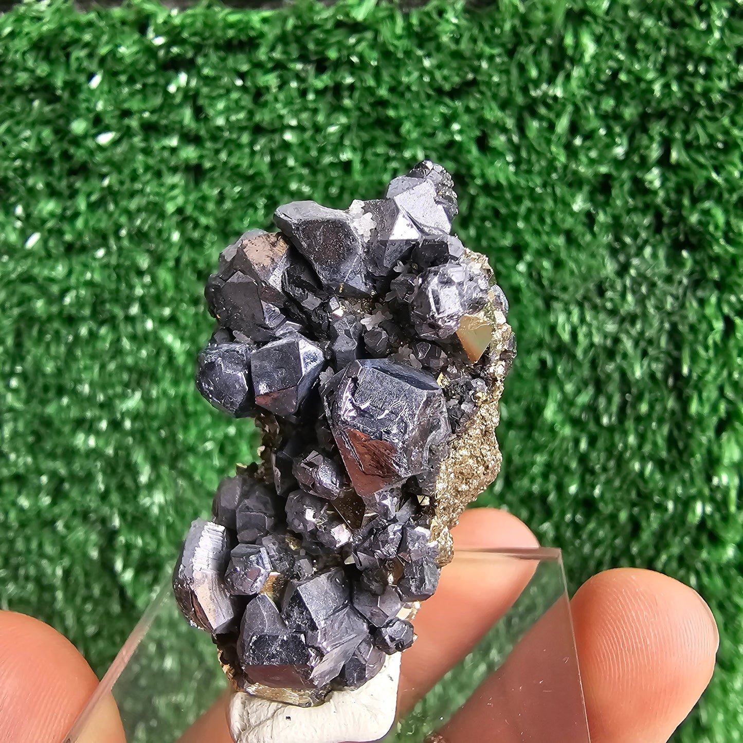 crystallized galena with Pyrite octahedral