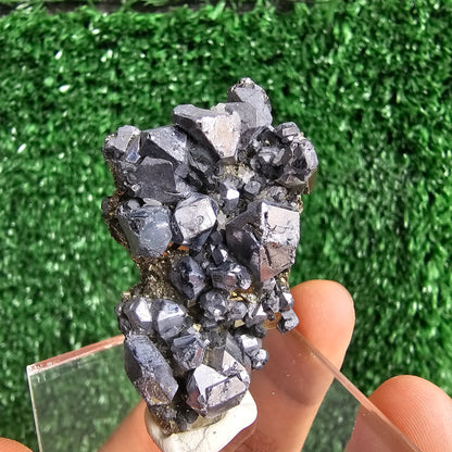 crystallized galena with Pyrite octahedral