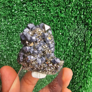 crystallized galena with Pyrite octahedral