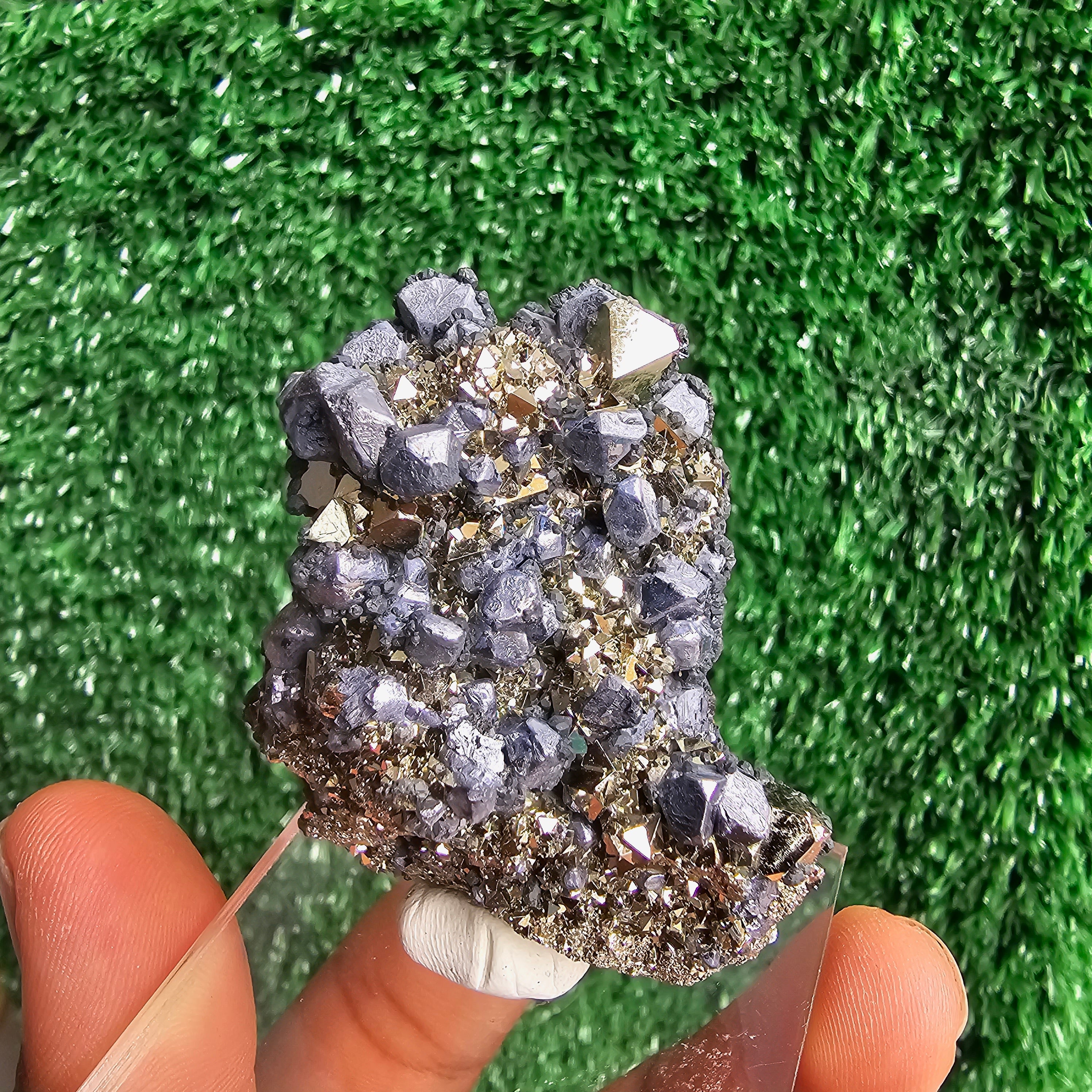 crystallized galena with Pyrite octahedral