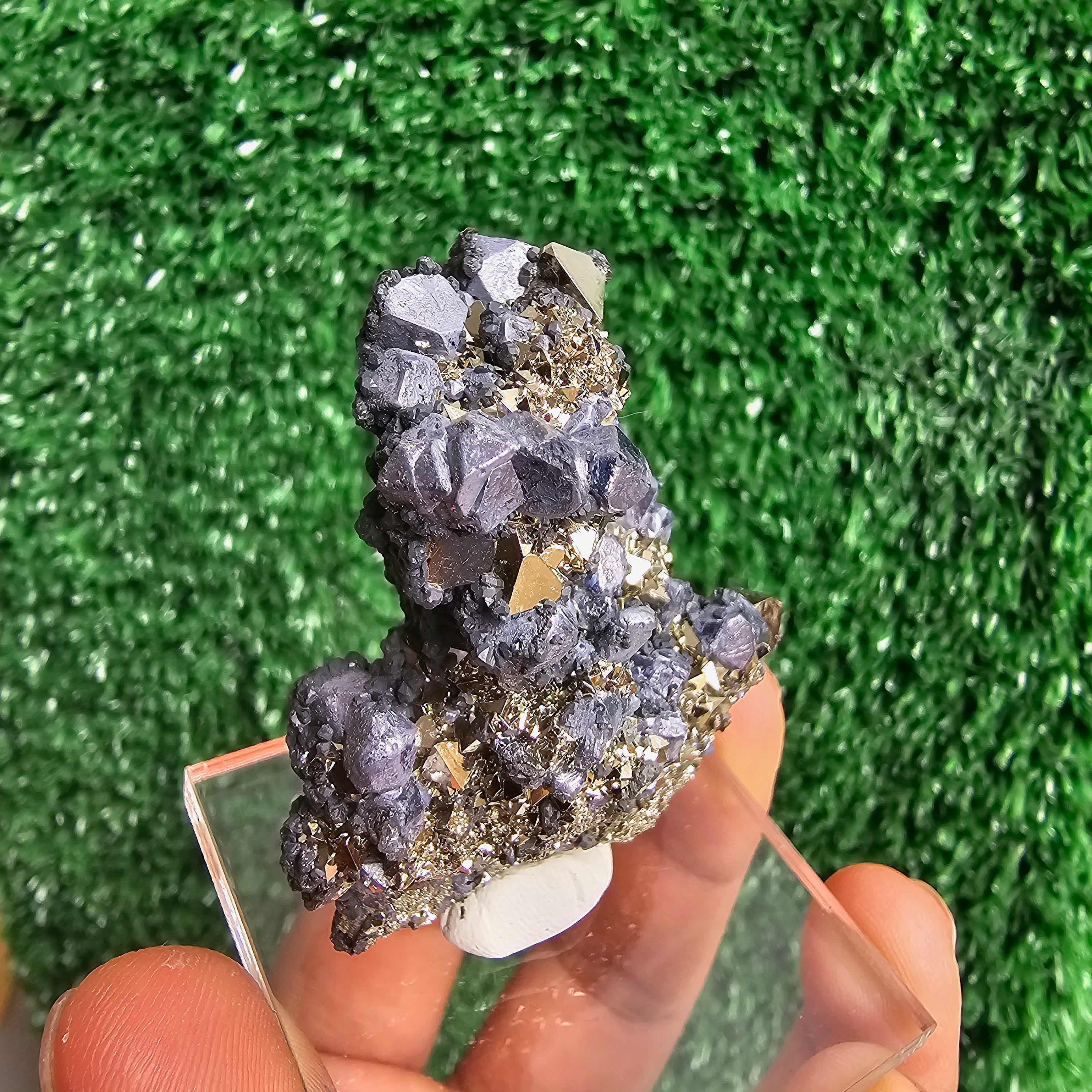 crystallized galena with Pyrite octahedral