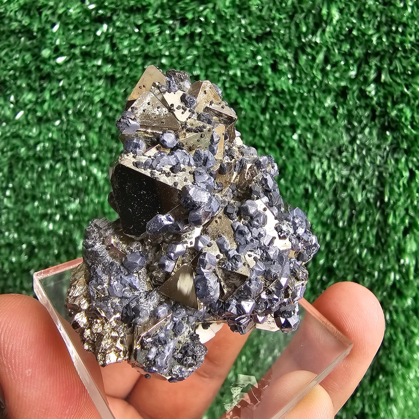 crystallized galena with Pyrite octahedral