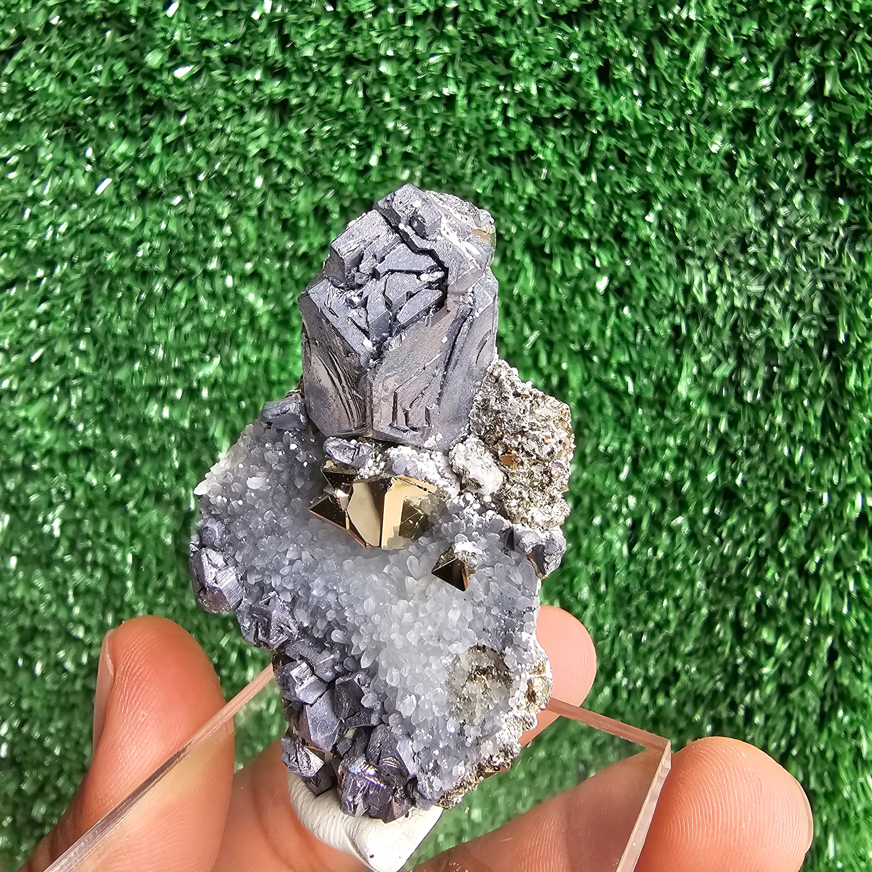 crystallized galena with Pyrite octahedral