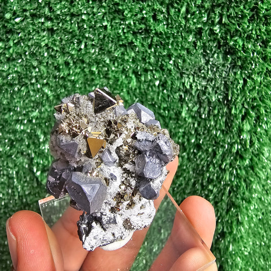 crystallized galena with Pyrite octahedral