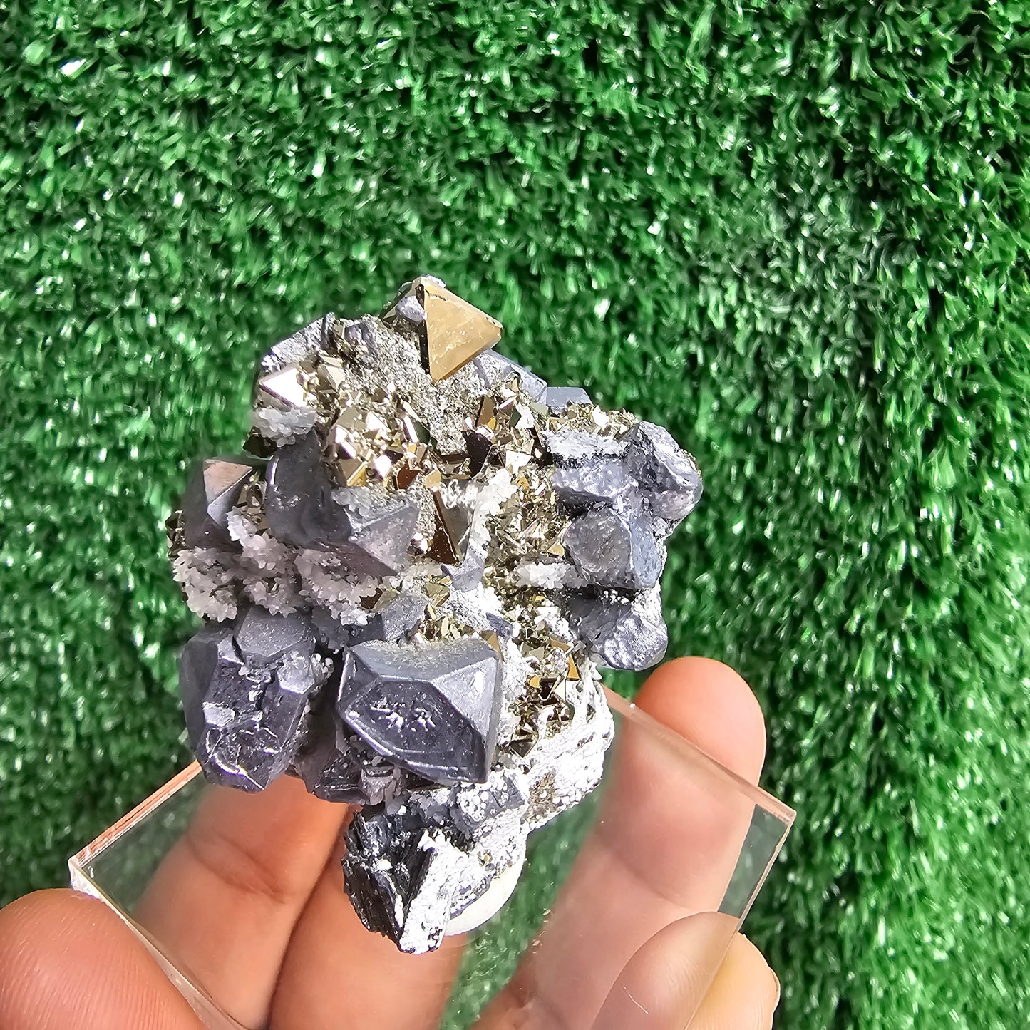 crystallized galena with Pyrite octahedral