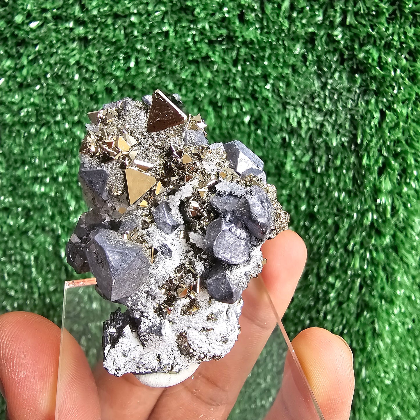 crystallized galena with Pyrite octahedral