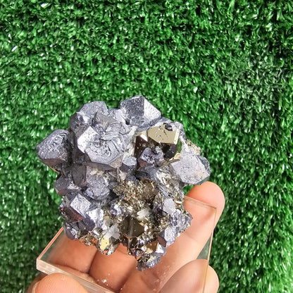 crystallized galena with Pyrite octahedral