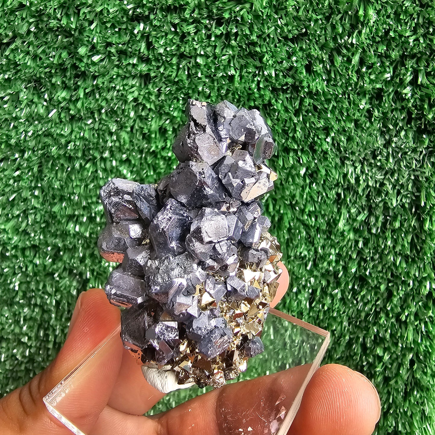 crystallized galena with Pyrite octahedral