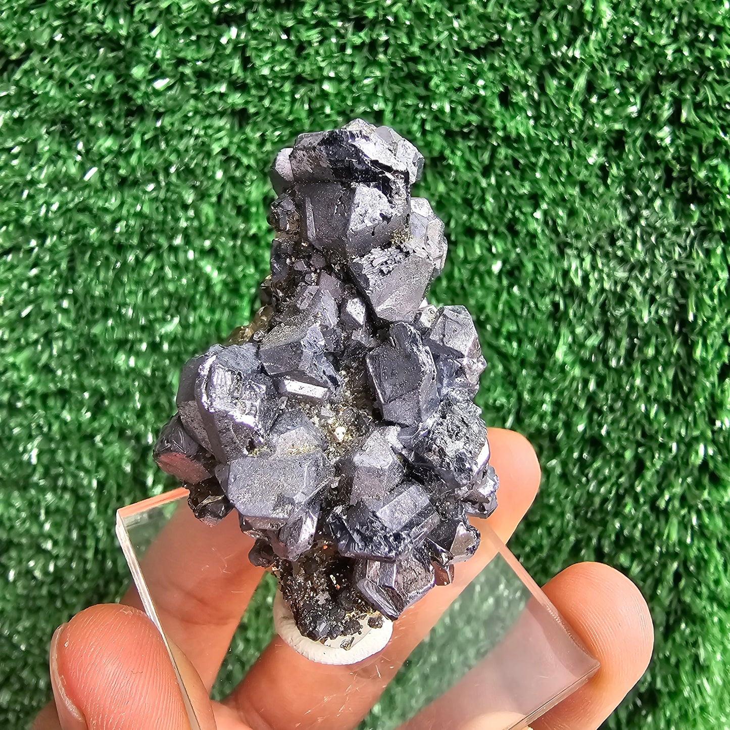 crystallized galena with Pyrite octahedral