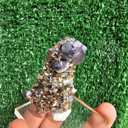 crystallized galena with Pyrite octahedral