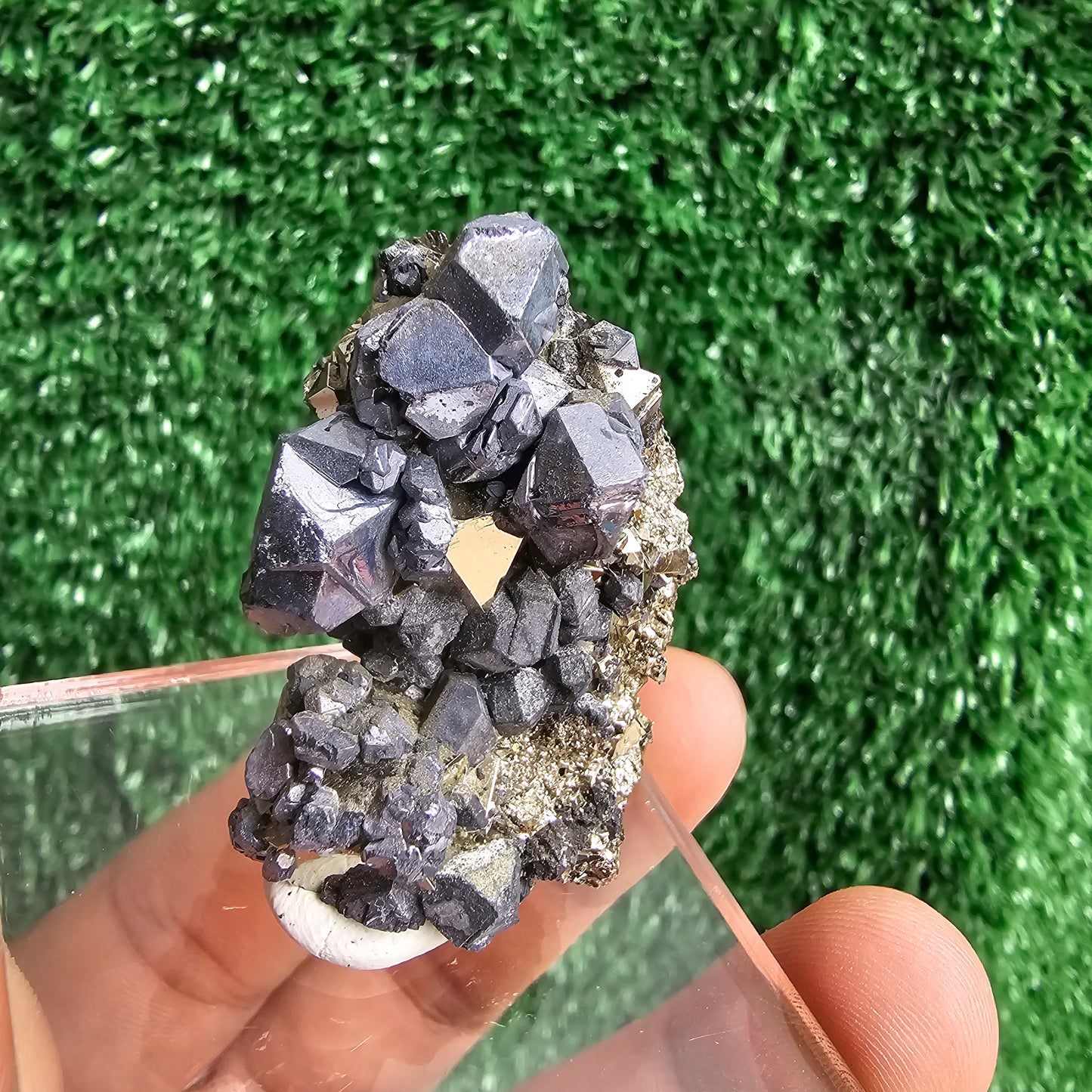 crystallized galena with Pyrite octahedral