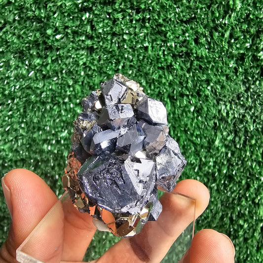 crystallized galena with Pyrite octahedral