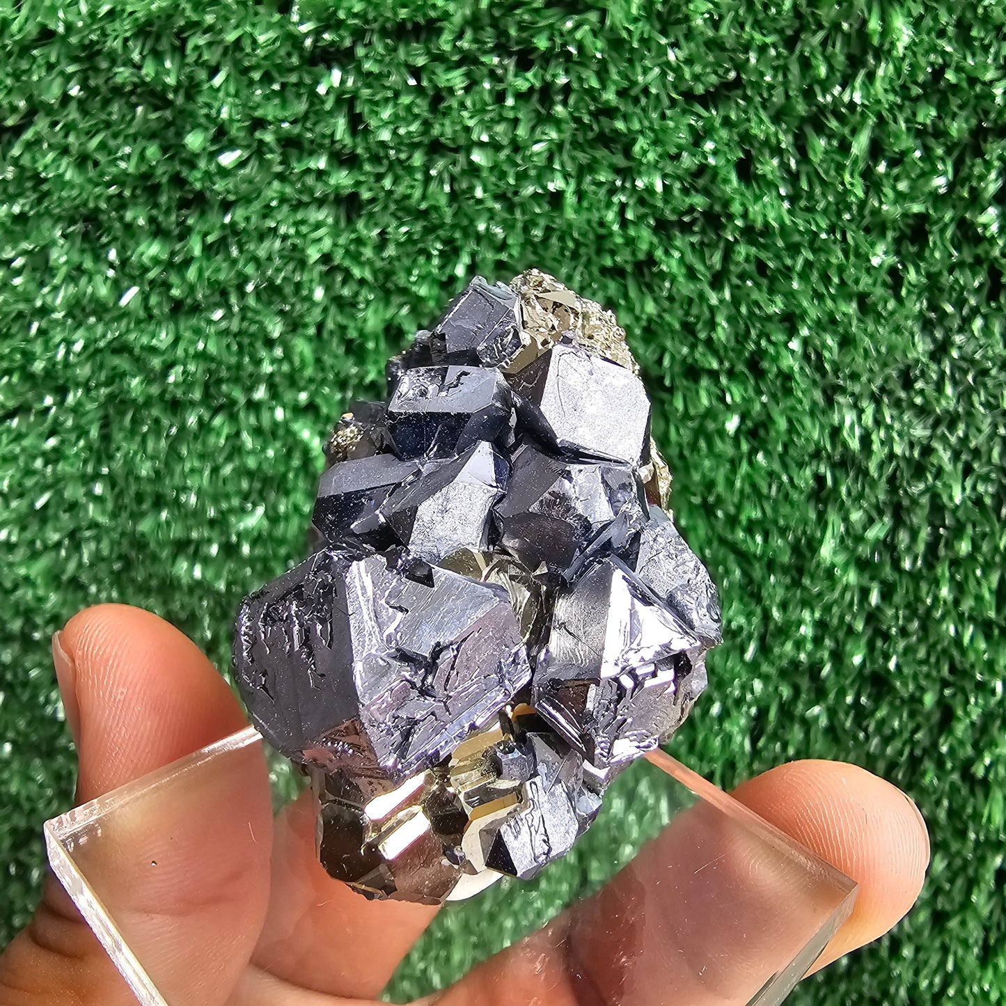 crystallized galena with Pyrite octahedral