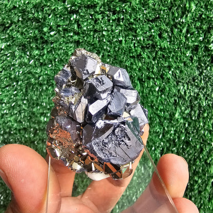 crystallized galena with Pyrite octahedral