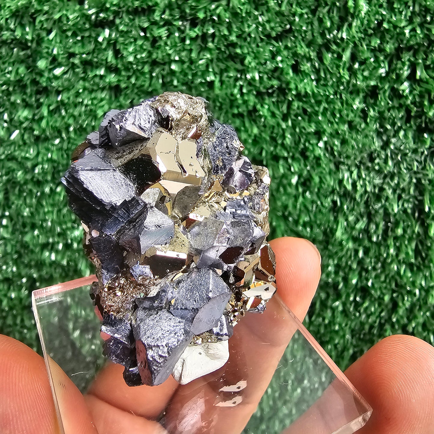 crystallized galena with Pyrite octahedral