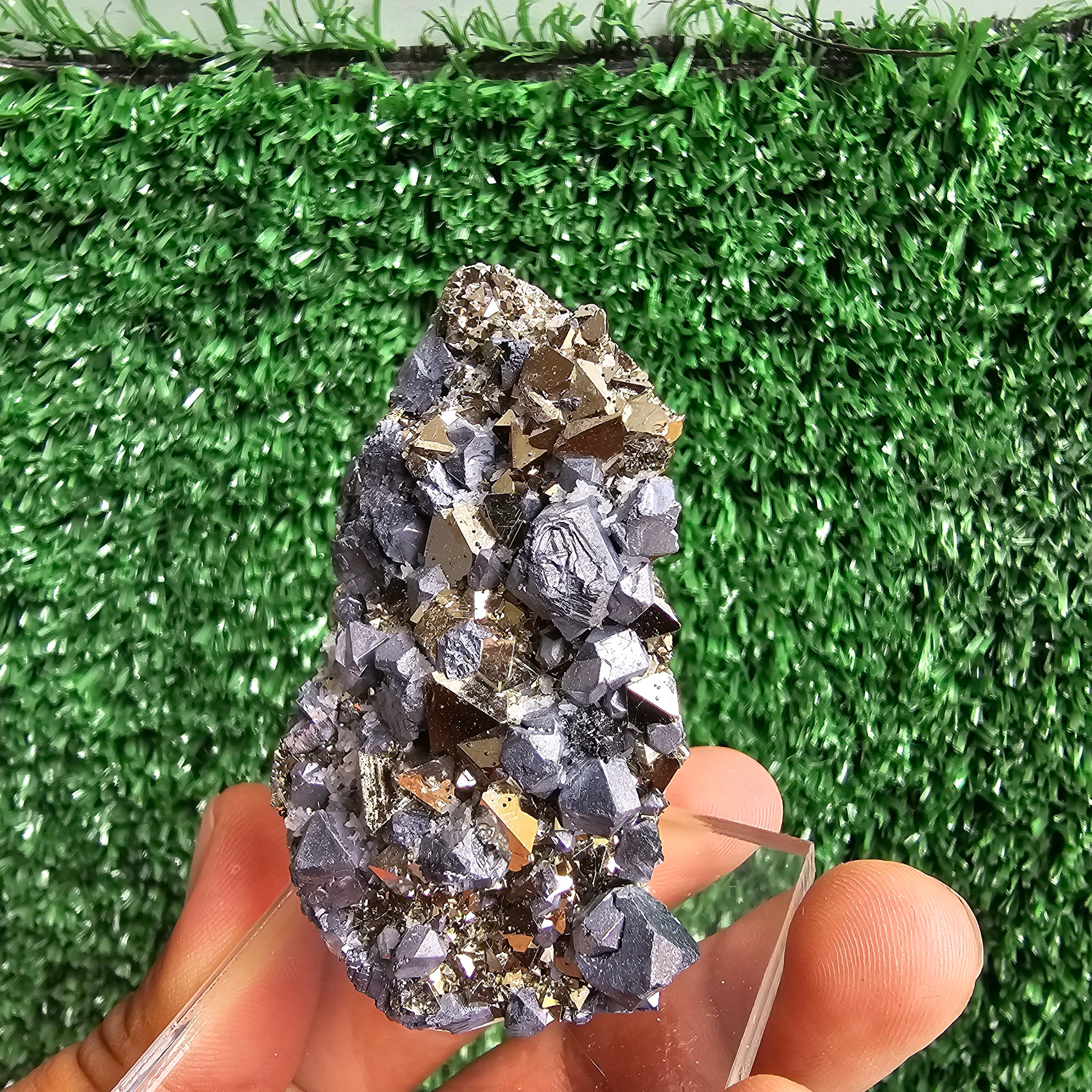 crystallized galena with Pyrite octahedral