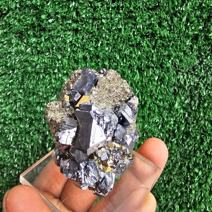 crystallized galena with Pyrite octahedral