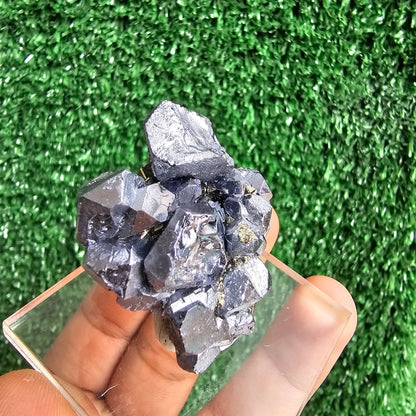 crystallized galena with Pyrite octahedral