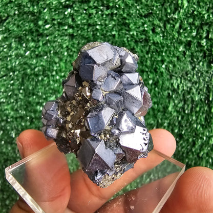 crystallized galena with Pyrite octahedral