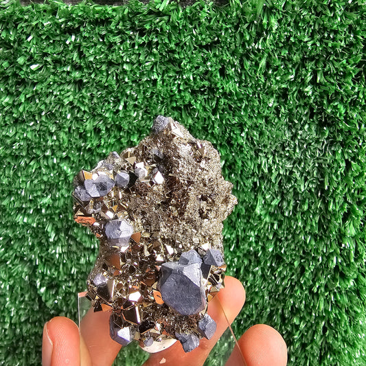 crystallized galena with Pyrite octahedral