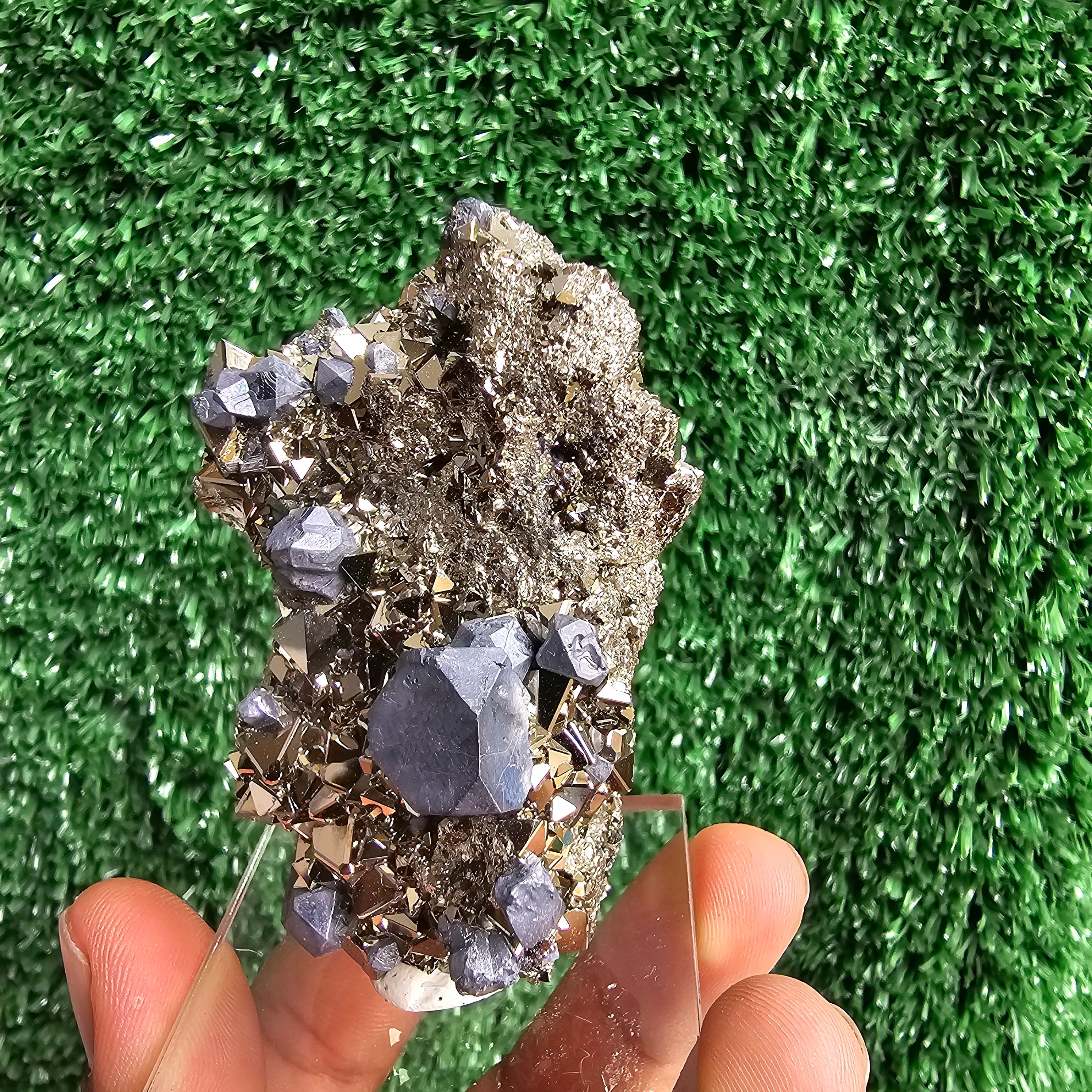 crystallized galena with Pyrite octahedral