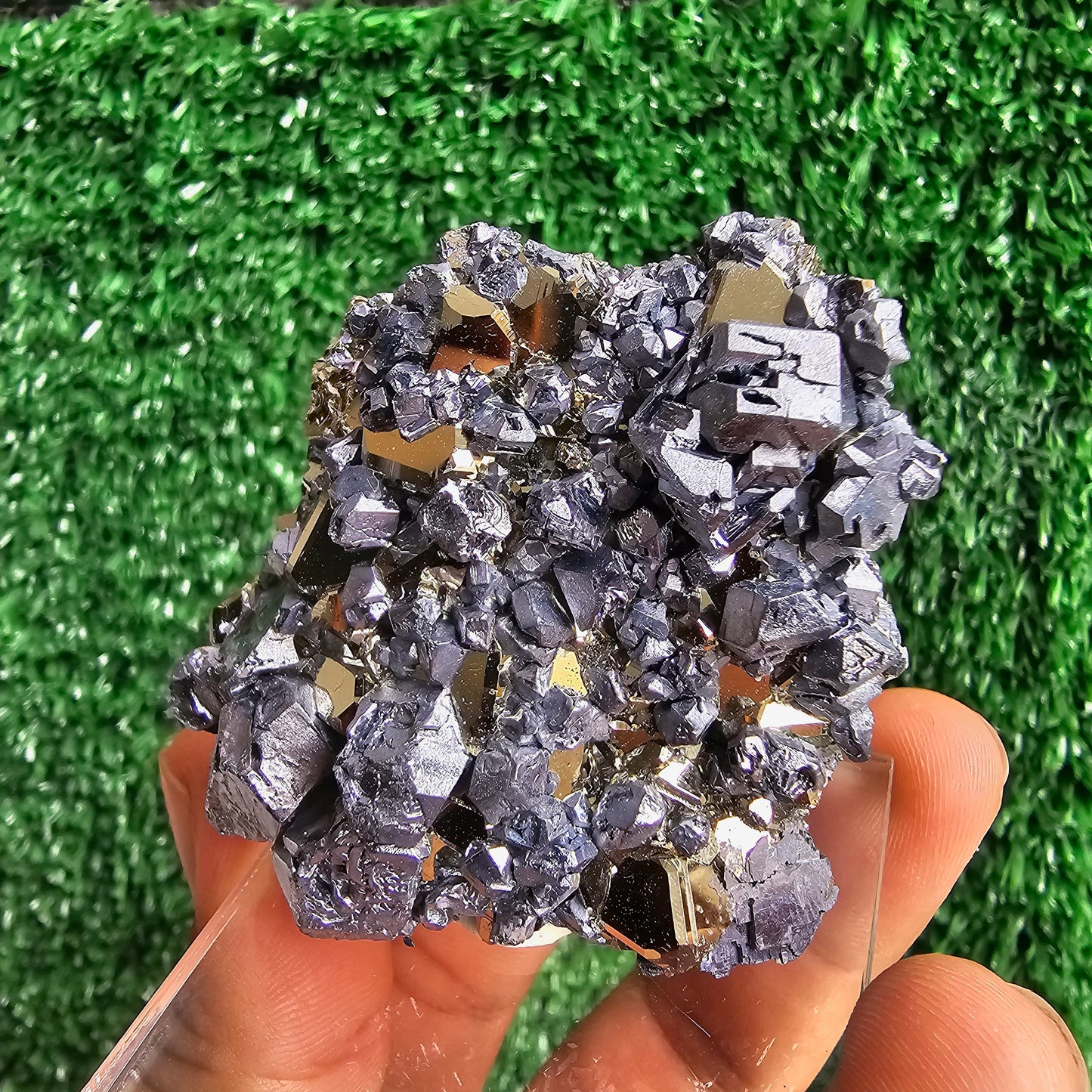 crystallized galena with Pyrite octahedral