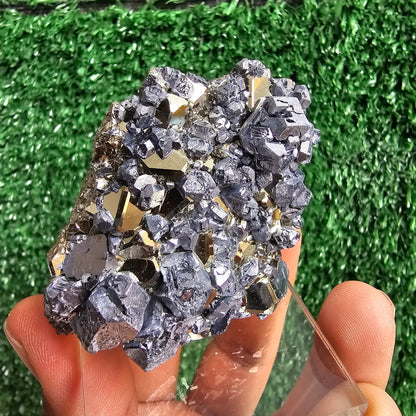 crystallized galena with Pyrite octahedral