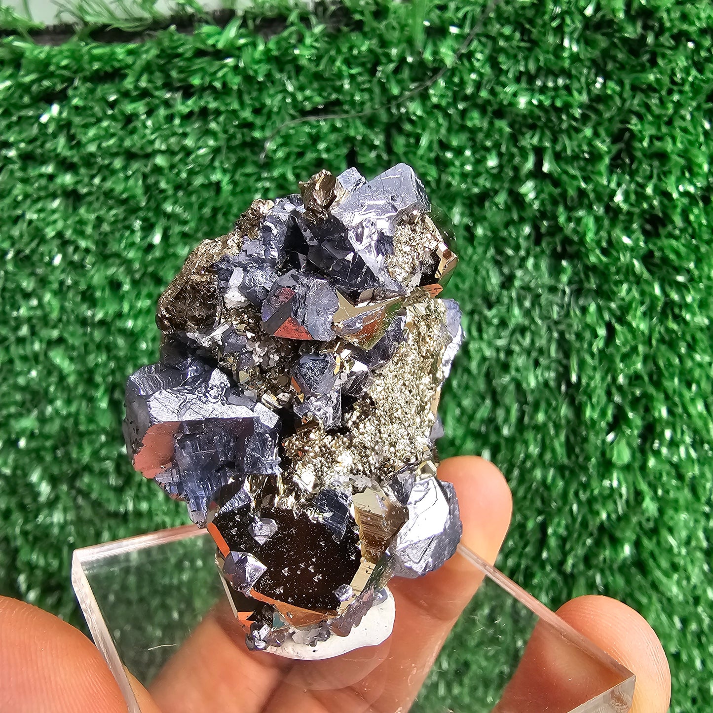 crystallized galena with Pyrite octahedral