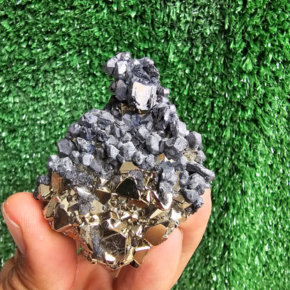 crystallized galena with Pyrite octahedral